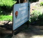 Mariposa Grove Sign