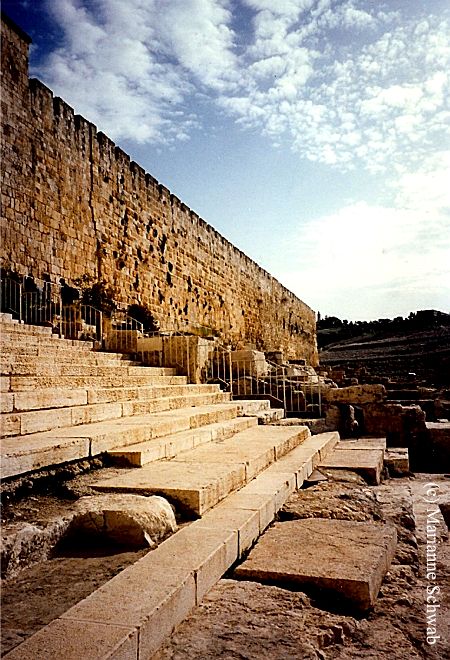 Israel Jerusalem Southern Steps Temple